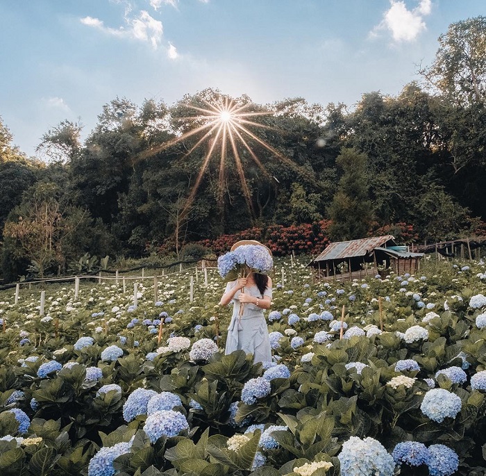 Ban Khun Pae là một trong những vườn hoa đẹp nhất Chiang Mai có cảnh sắc tuyệt đẹp