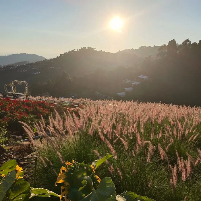 Mon Jam là một trong những vườn hoa đẹp nhất Chiang Mai có cảnh đẹp mơ mộng