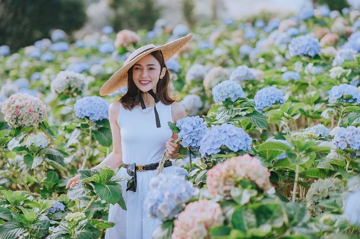 Ban Khun Pae là một trong những vườn hoa đẹp nhất Chiang Mai góc nào cũng xinh