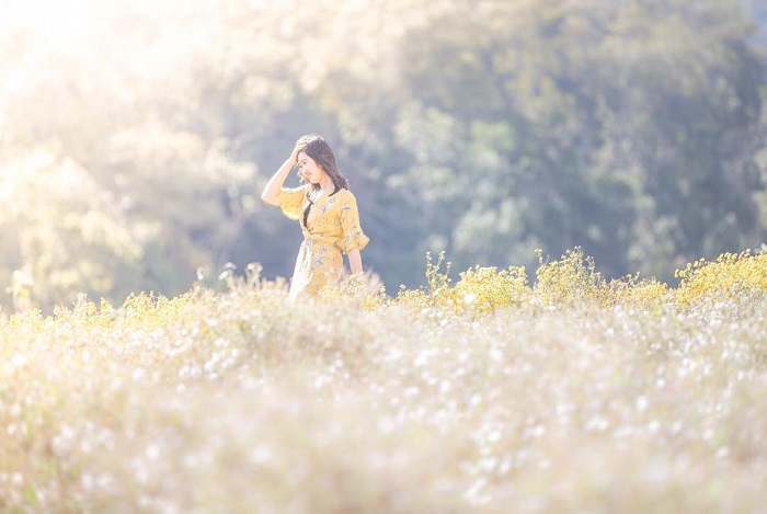 Ban Om Long là một trong những vườn hoa đẹp nhất Chiang Mai lên hình siêu lãng mạn