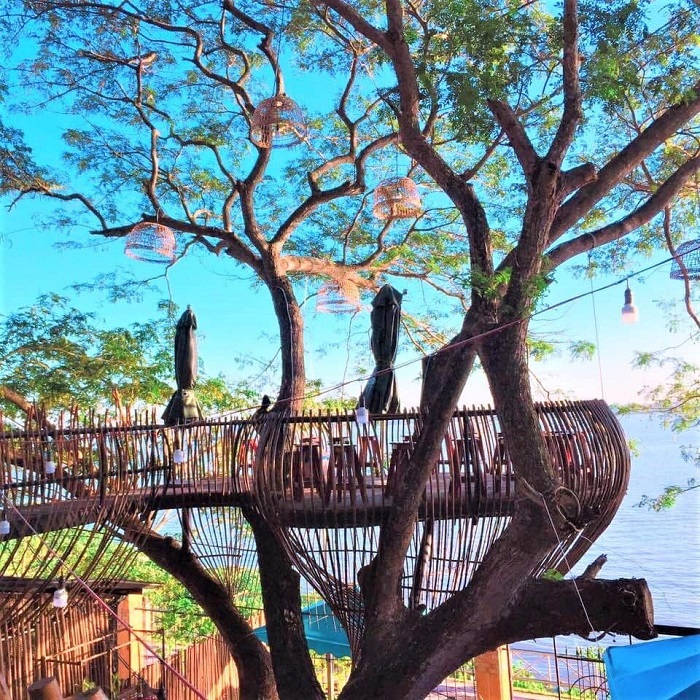 Hot rần rần quán cà phê trên cây ở Cần Thơ, bạn đã check in chưa?