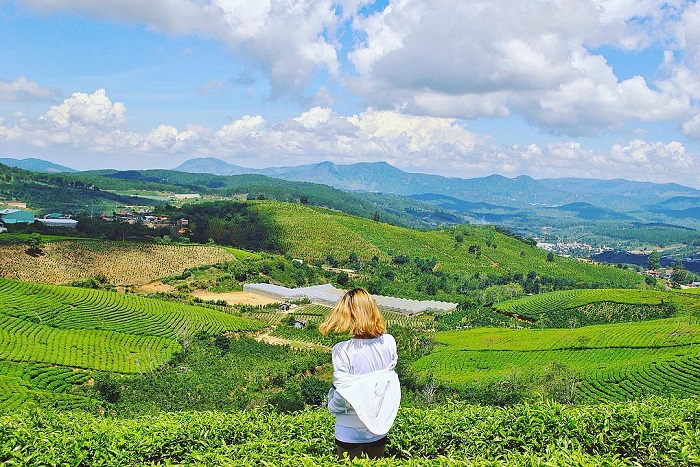 kinh nghiệm du lịch Đà Lạt 