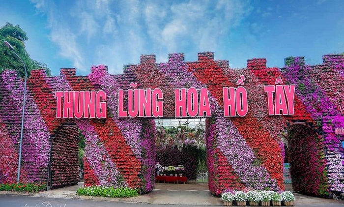 thung lũng hoa Hồ Tây