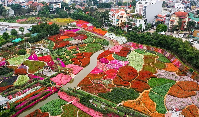 thung lũng hoa Hồ Tây