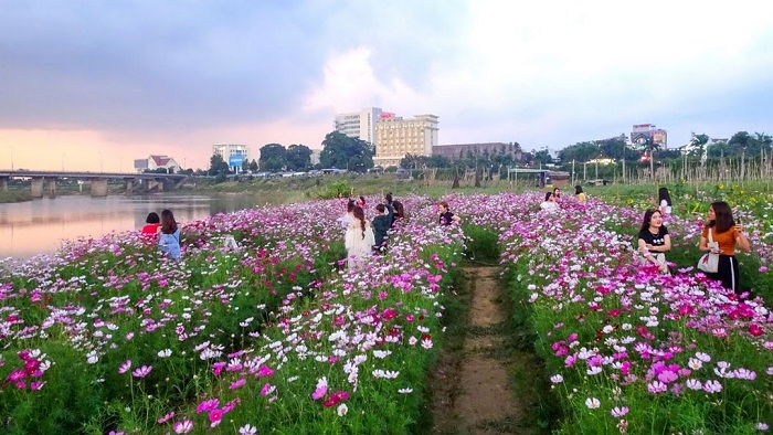vườn hoa bờ sông Đăk Bla