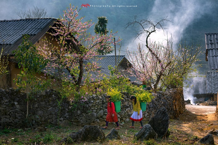 cao nguyên Hà Giang