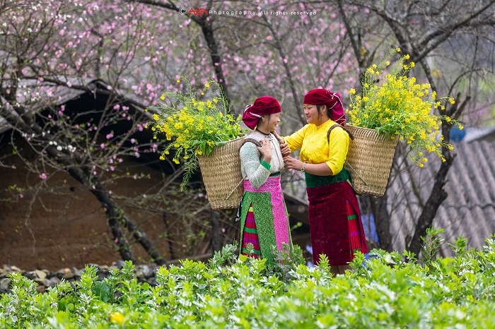  cao nguyên Hà Giang