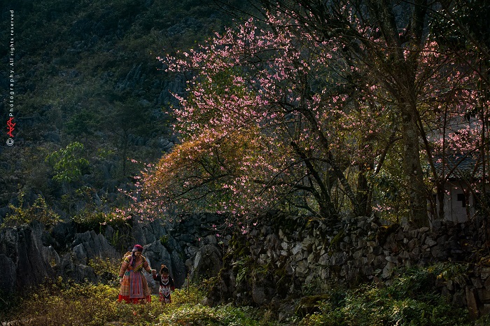 cao nguyên Hà Giang