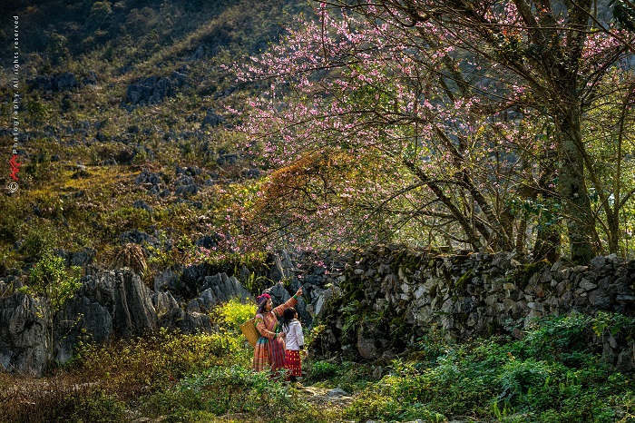cao nguyên Hà Giang