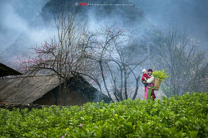 cao nguyên Hà Giang