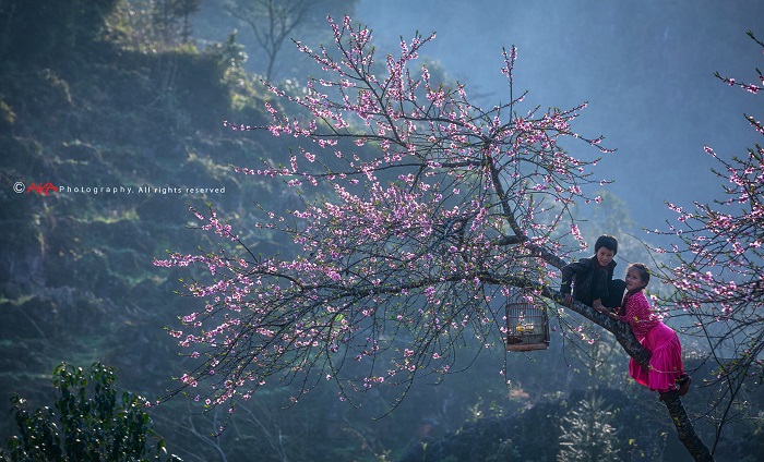cao nguyên Hà Giang