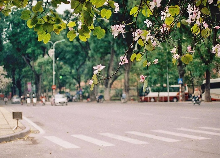 Hoang Dieu Street, Hanoi