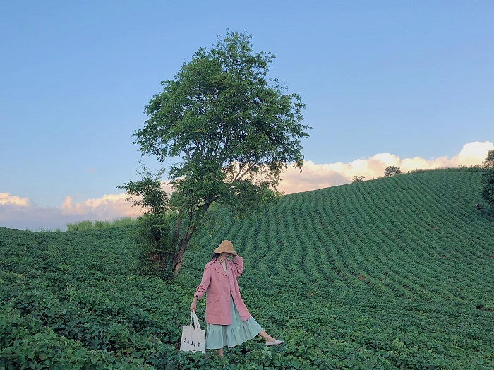 Đừng đến những điểm du lịch Pleiku này  kẻo lại ‘dễ say khó về’