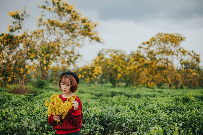 Đừng đến những điểm du lịch Pleiku này  kẻo lại ‘dễ say khó về’