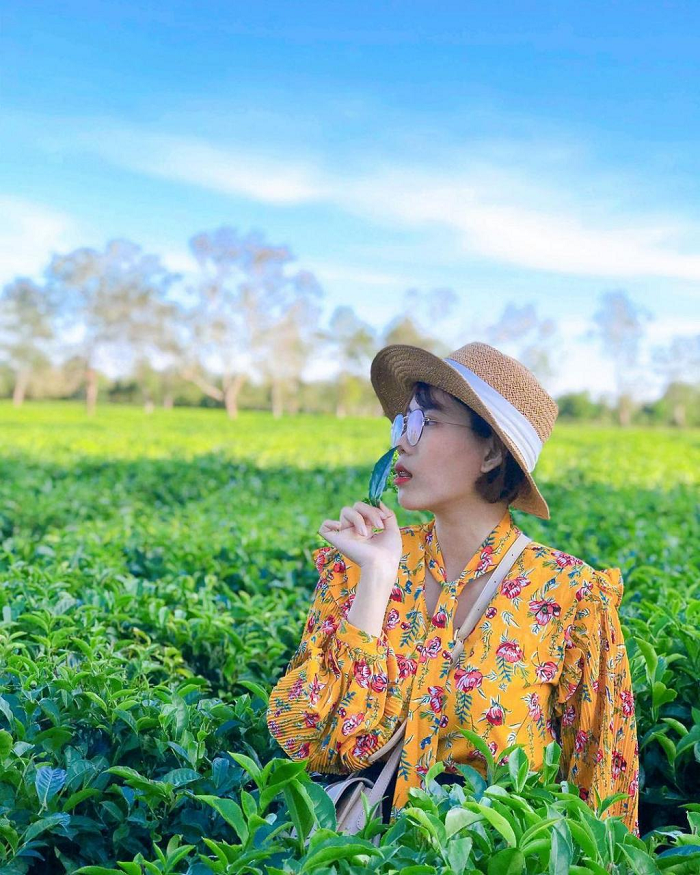 Đừng đến những điểm du lịch Pleiku này  kẻo lại ‘dễ say khó về’