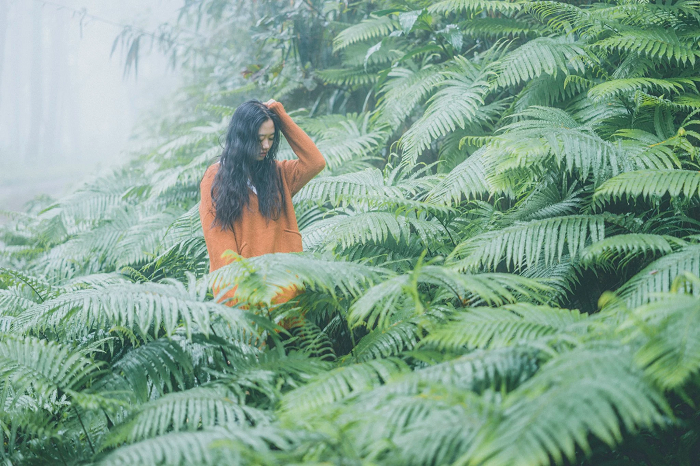 Đừng đến những điểm du lịch Pleiku này  kẻo lại ‘dễ say khó về’