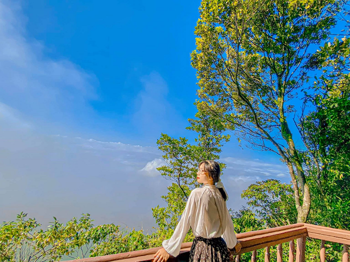 ‘Nắm lòng bàn tay’ với những điểm vui chơi tại vườn quốc gia Ba Vì sống ảo đẹp nhức nhối