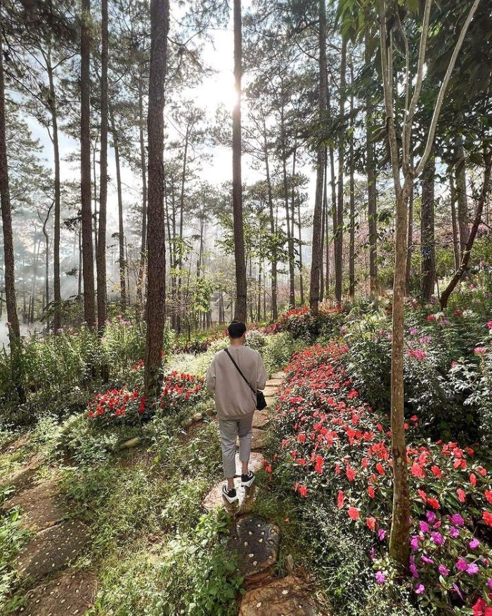 Quang Vinh du lịch Đà Lạt 