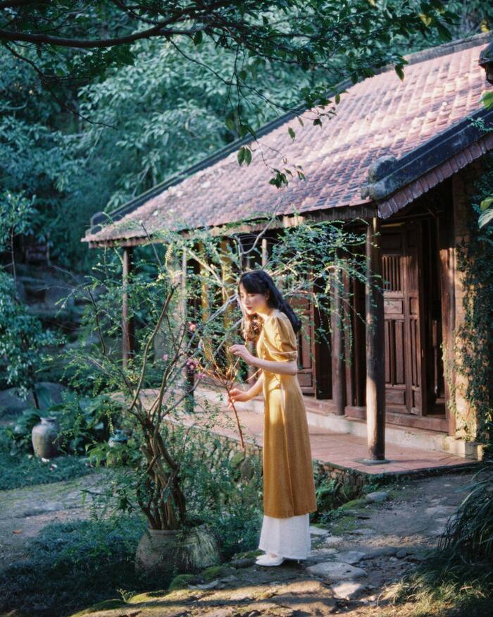 Rong ruổi Đà Nẵng và dừng chân khám phá tại những địa điểm check-in ở bán đảo Sơn Trà nổi tiếng