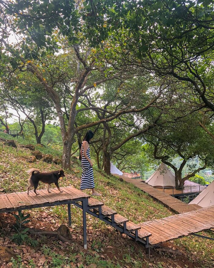 Rời thành phố ‘chật chội, náo nức’ và tìm về vùng xanh thanh bình tại khu cắm trại Tropical EGlamping Đồng Nai