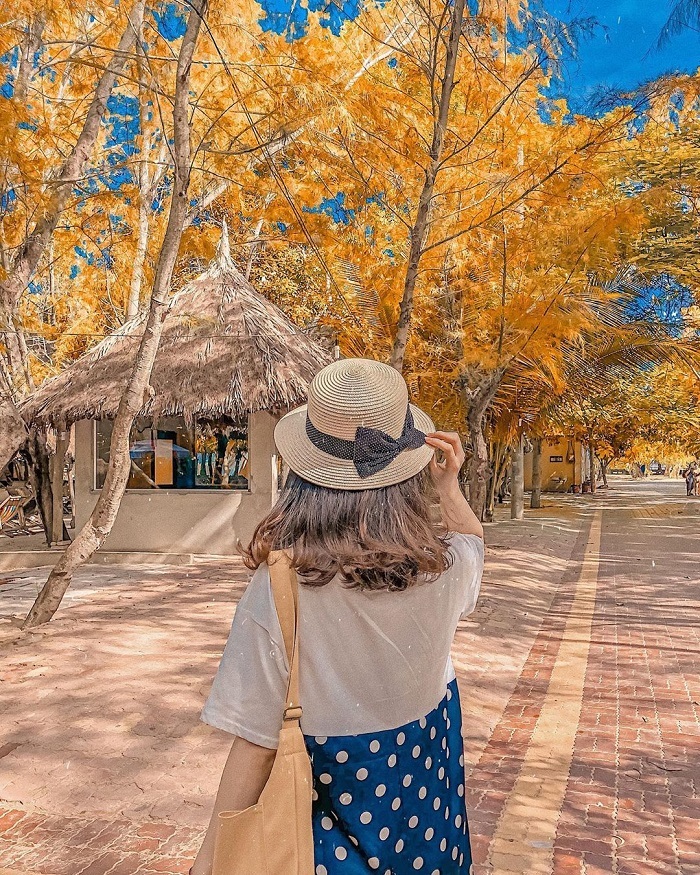 Xoã cực đã với khung cảnh đẹp như mơ tại bãi tắm Chí Linh Vũng Tàu
