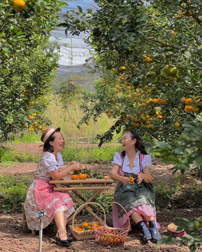 Bình Dương chẳng thiếu những địa điểm ăn – chơi – quẩy nổi tiếng được hội cuồng chân săn đón nhiệt tình