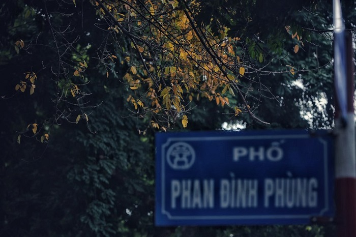 Hà Nội mùa thay lá 