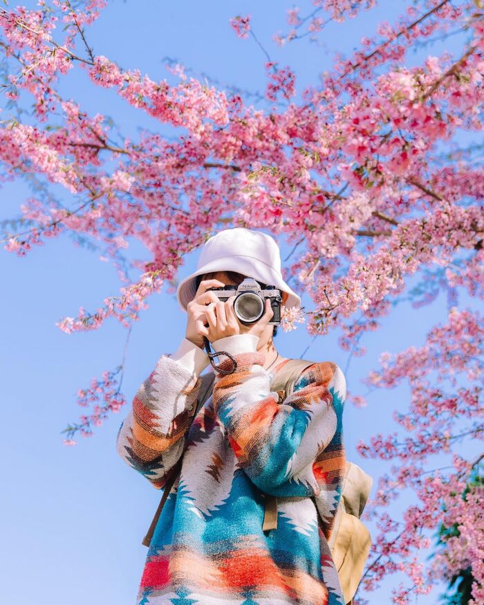 Say lòng với các mùa hoa dịp đầu năm: Dạo bước giữa ‘chốn tiên cảnh’ khắp mọi miền Tổ quốc