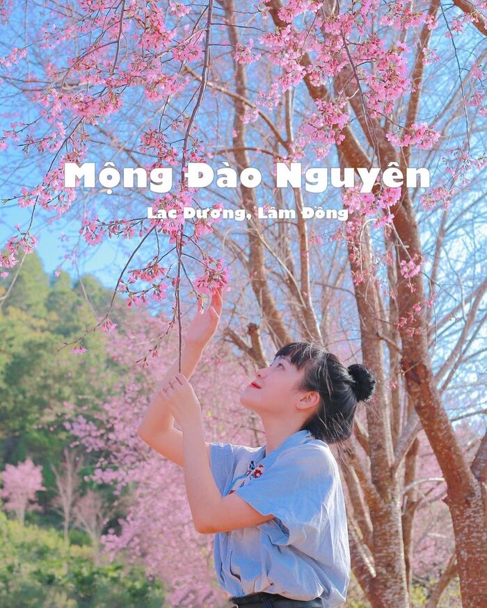Say lòng với các mùa hoa dịp đầu năm: Dạo bước giữa ‘chốn tiên cảnh’ khắp mọi miền Tổ quốc
