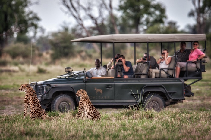  Đi Safari ở Botswana