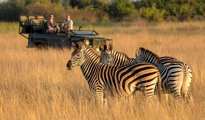  đi Safari ở Botswana 