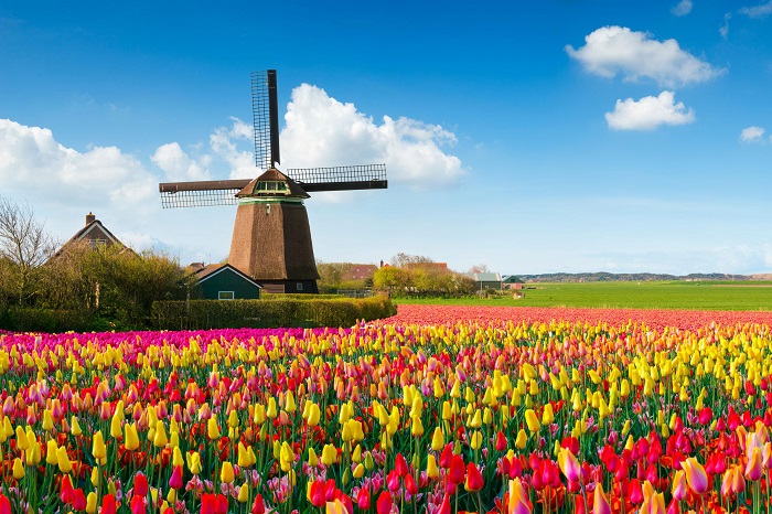 Bạn không cần quá băn khoăn về thời gian khi du lịch Hà Lan mùa nào cũng đẹp. 