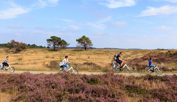 Cùng nhóm bạn đạp xe quanh vườn quốc gia Hoge Veluwe là một trải nghiệm cực kỳ thú vị