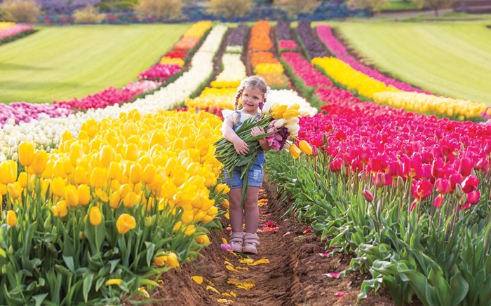 Đừng quên lưu lại những bức ảnh thật đẹp khi tham gia lễ hội hoa tulip ở Úc. 