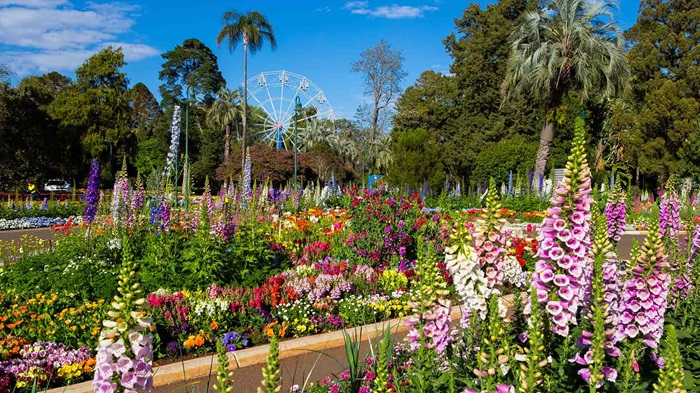 Lễ hội hoa Toowoomba Carnival được tổ chức vào tháng 9 tại khu vực Queensland. 