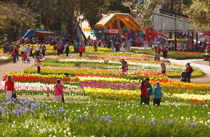 Bright Spring Festival là một lễ hội dành cho những ai thích không khí yên bình, không quá náo nhiệt hay ổn ào. 