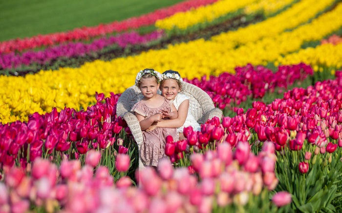 Lễ hội quy tụ hơn 900,000 hoa tulip với đủ các sắc màu trong bảng cầu vồng. 
