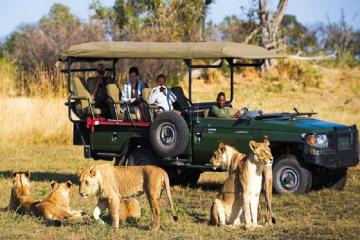 Đi safari ở Botswana: Mỗi trải nghiệm là một khúc hoan ca