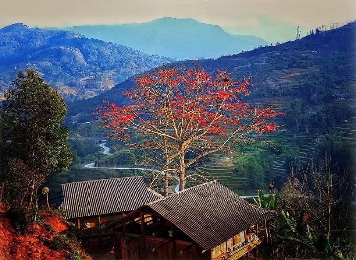 Mùa hoa gạo ở Hà Giang khiến du khách phải xao xuyến