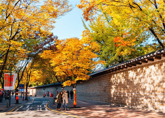 Khung cảnh mùa thu tại Seoul vô cùng lãng mạn