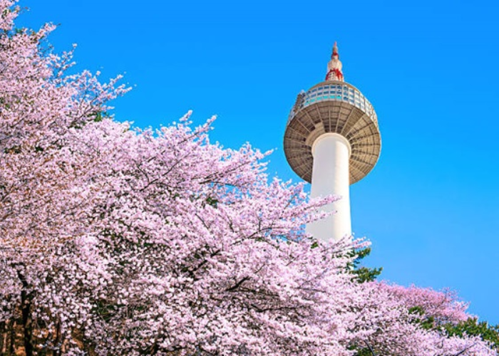 Tháp Namsan - biểu tượng của Seoul, là một trong những địa điểm không thể bỏ qua trong cẩm nang du lịch Seoul