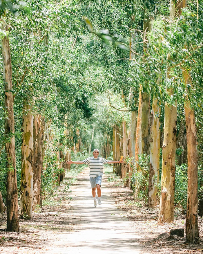 Rừng Tràm Trà Sư trong cẩm nang du lịch An Giang