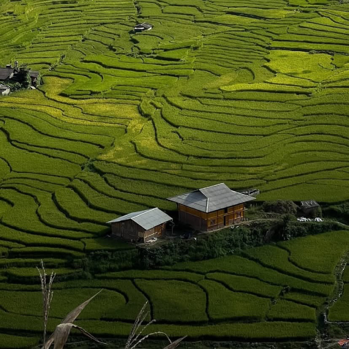 Ruộng bậc thang trải dài trước mắt du khách khi tới Sapa