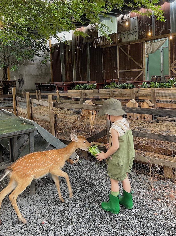 Quán cafe sân vườn ở TP HCM - Sunny farm