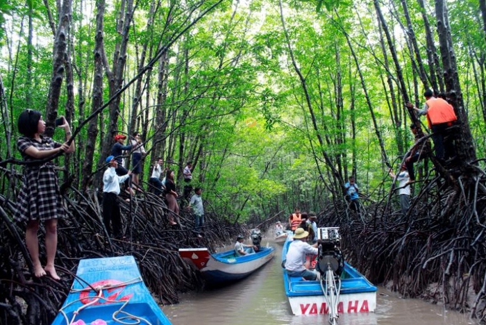 Du ngoạn rừng ngập mặn Long Khánh Trà Vinh bằng thuyền