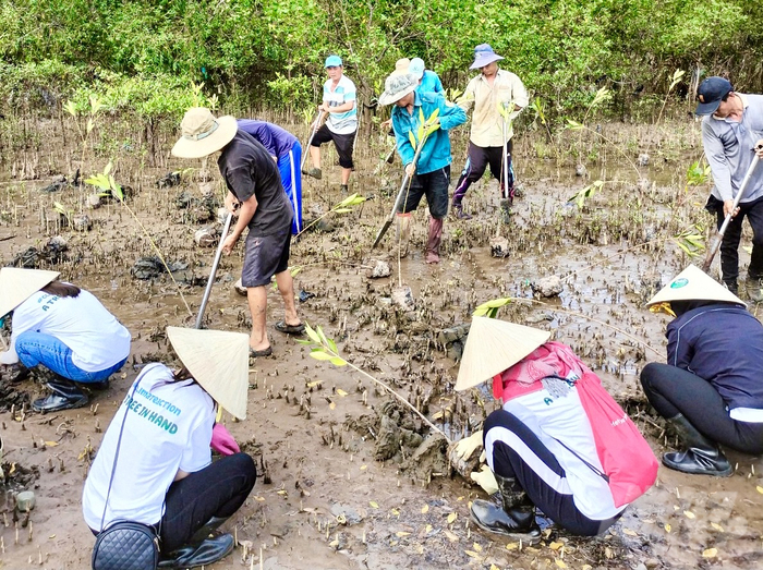 Dự án bảo tồn rừng ngập mặn Long Khánh Trà Vinh