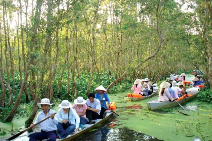 Bạn có thể ghé thăm rừng ngập mặn Long Khánh Trà Vinh vào bất cứ thời điểm nào trong năm