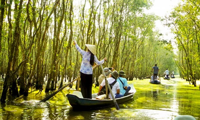 Rừng tràm chim Vị Thủy Hậu Giang là điểm dừng tham quan độc đáo thu hút nhiều người khám phá