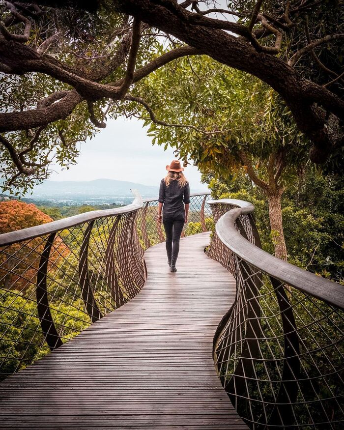 Dưới chân núi Table Mountain Nam Phi là vườn bách thảo Kirstenbosch