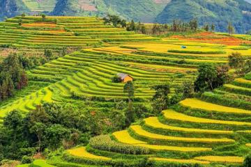 Cẩm nang du lịch Lào Cai: Khám phá vẻ đẹp miền sơn cước